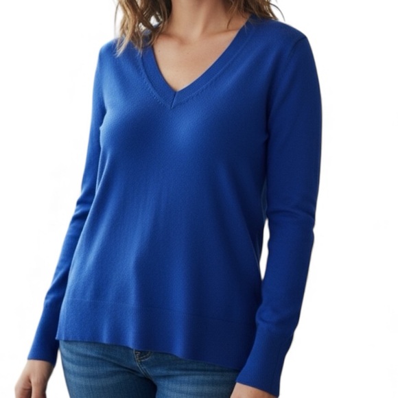 Halogen Sweaters - Halogen Cashmere Blue Sweater V-Neck Top